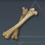 Bone Item
