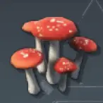 Mushroom Item