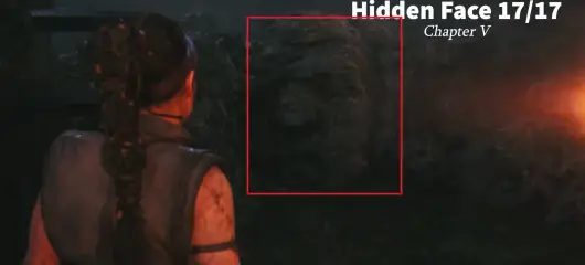 Hidden Face 17