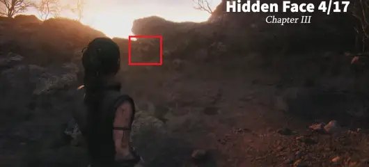 Hidden Face 4