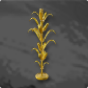 Golden Corn 