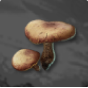 Mushroom – How to Get