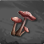 Poisonous Mushroom 