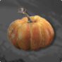 Pumpkin – How to Get