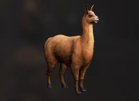 Llama 