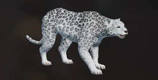 Snow Leopard 