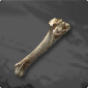 Beast Bone 
