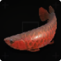 Arowana 