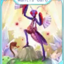 Mantis Card – E Accessory Card