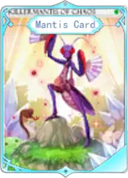 Mantis Card – E Accessory Card